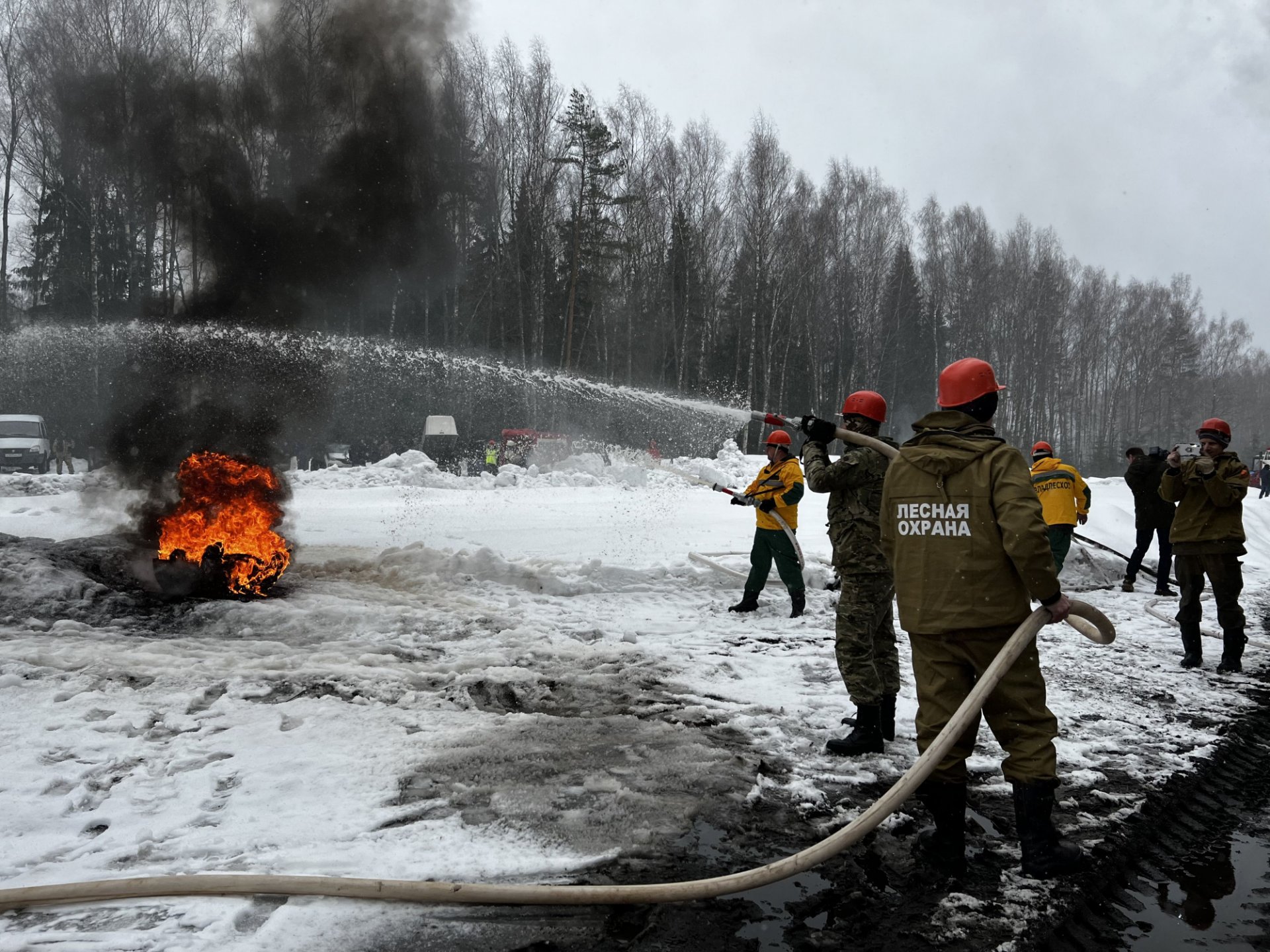 Костромские огнеборцы провели учения по тушению лесных возгораний
