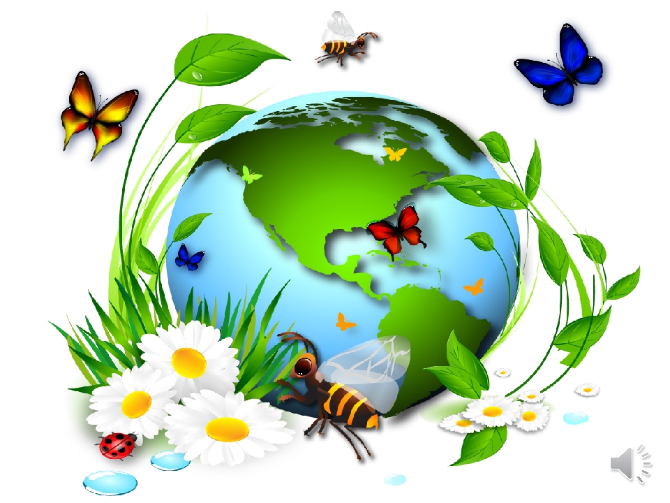 Школьники Костромской области могут проверить свои знания по окружающему миру и экологии