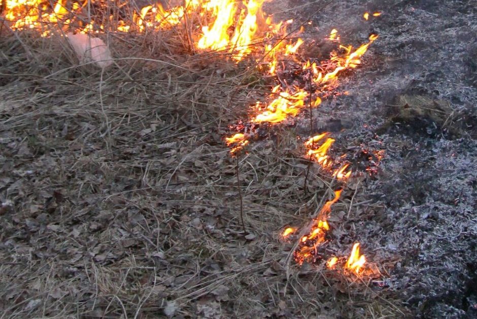На территории Костромы введен запрет на пал травы и сжигание мусора