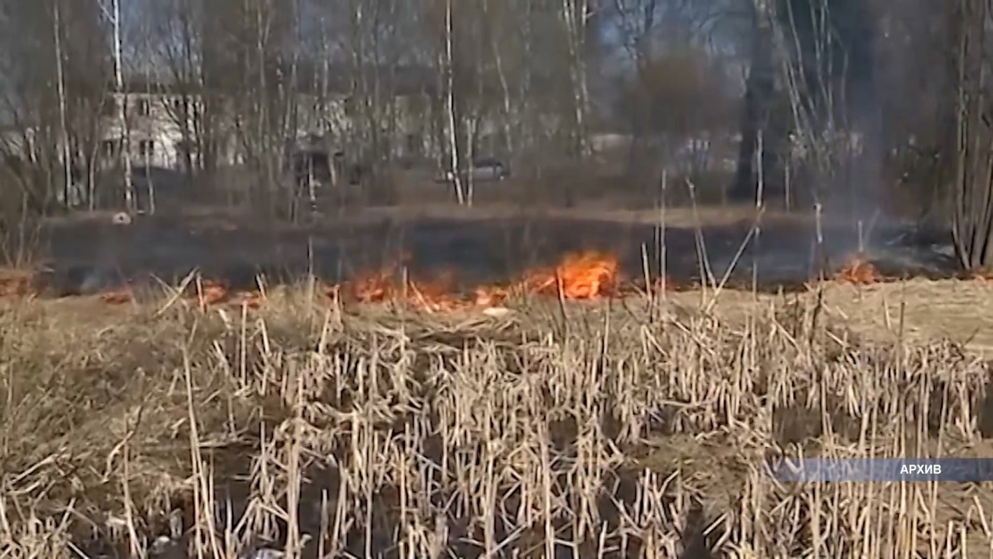 В двух районах Костромской области введен особый противопожарный режим