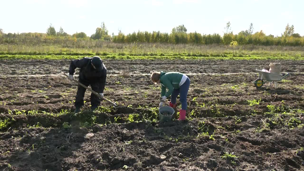 В Костромской области количество земельных участков для предоставления жителям под выращивание овощей увеличено на 14%