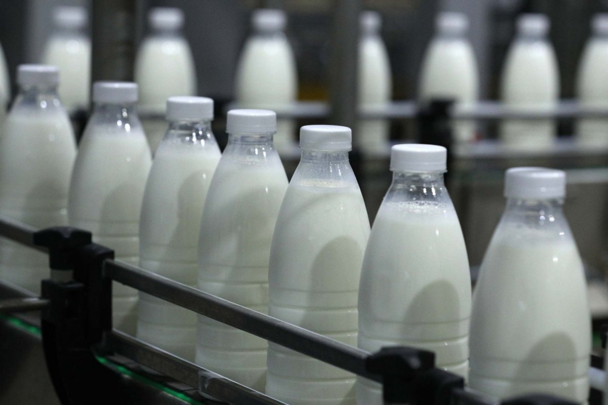 Правительство поддержало обращение Костромской области об отсрочке маркировки молочной продукции