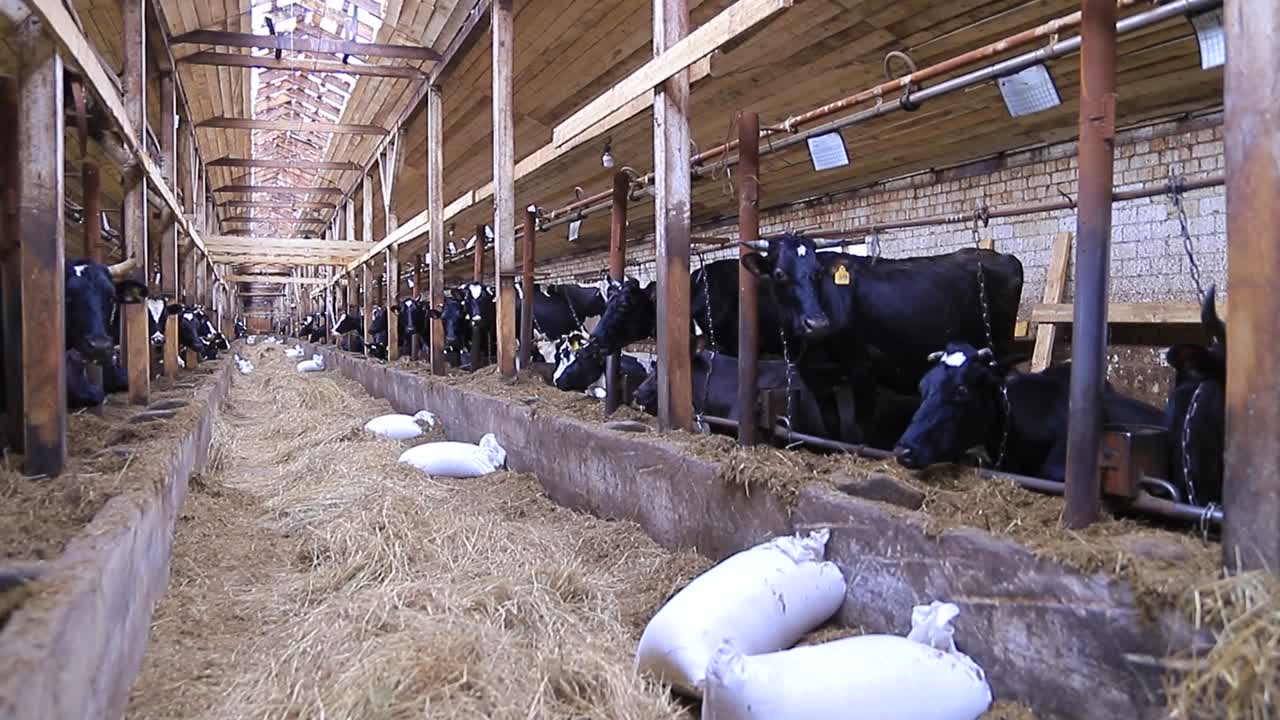 Временная отмена маркировки молочной продукции позволит сдержать цены на продукцию