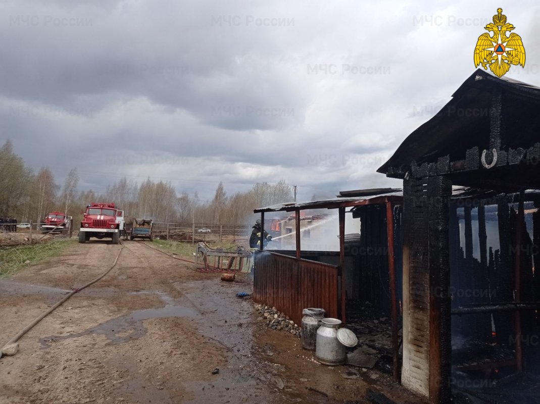 В Костромской области власти помогут восстановить сгоревшую ферму на 100 голов