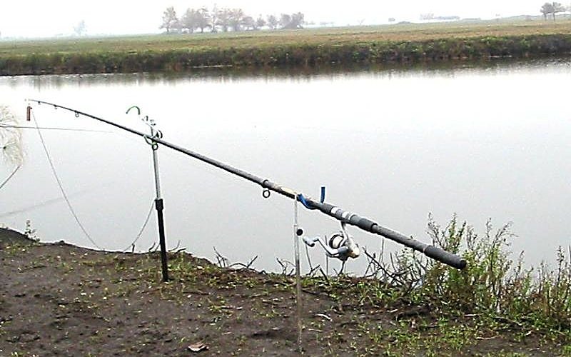 Чемпионат Костромской области по ловле рыбы поплавочной удочкой пройдет 21 мая