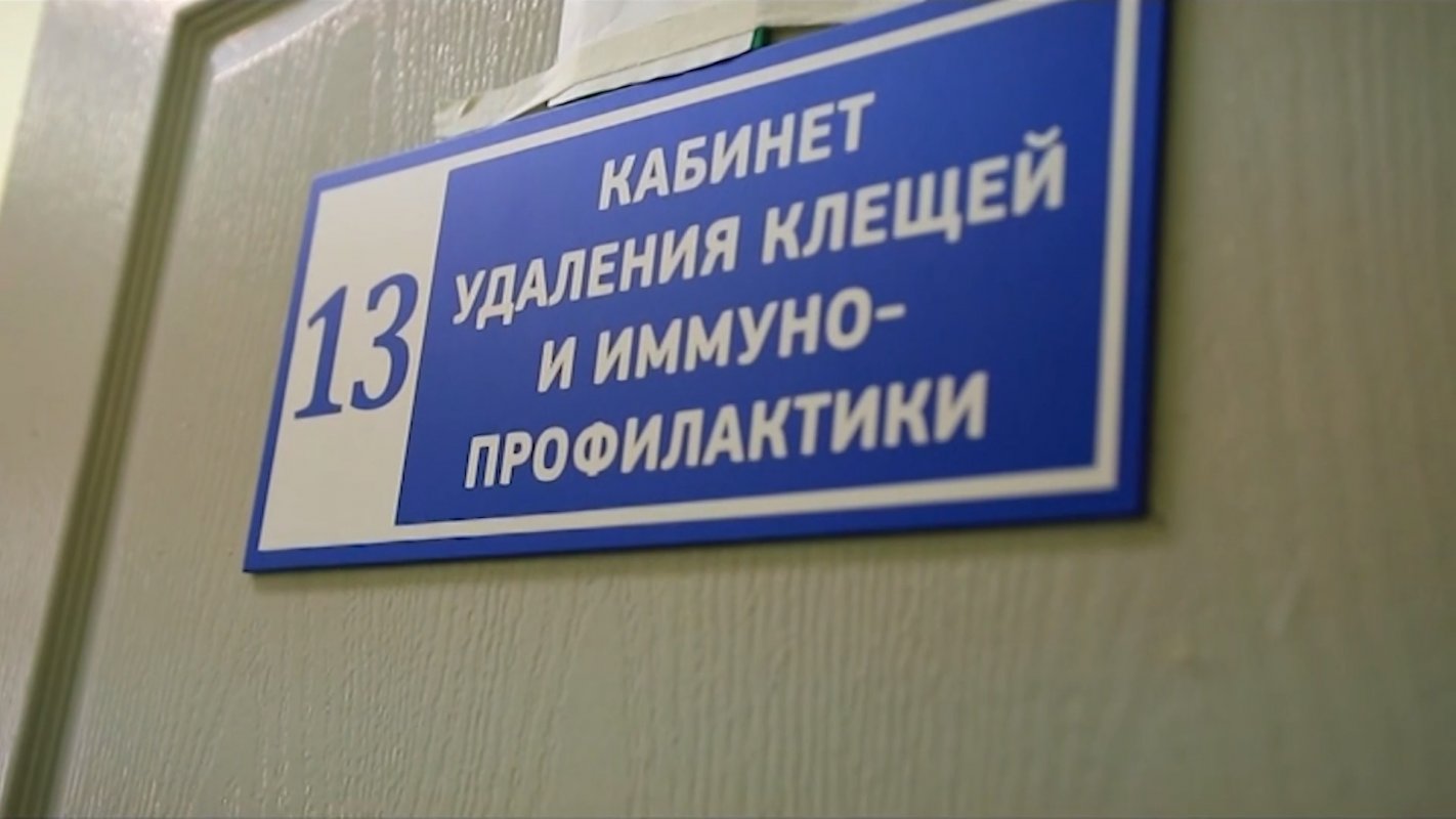 В Костромской области разработают комплексную программу по защите населения от клещей