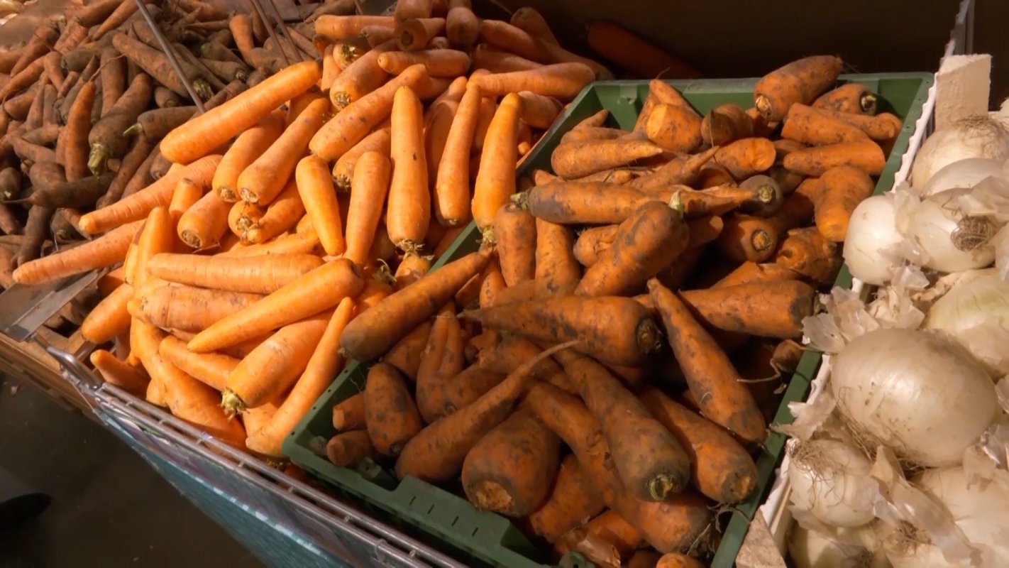 Первый бюджетный аванс перечислен костромским аграриям, которые поставляют овощи в соцучреждения региона
