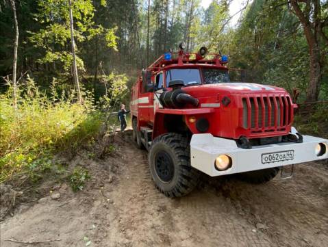 В Костромской области для тушения лесных пожаров создана группировка из 1185 человек и 2876 единиц техники
