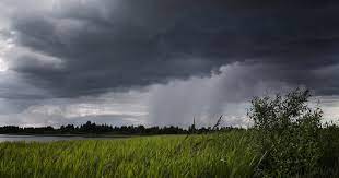 В Костромской области прогнозируют усиление ветра, дождь,  грозу
