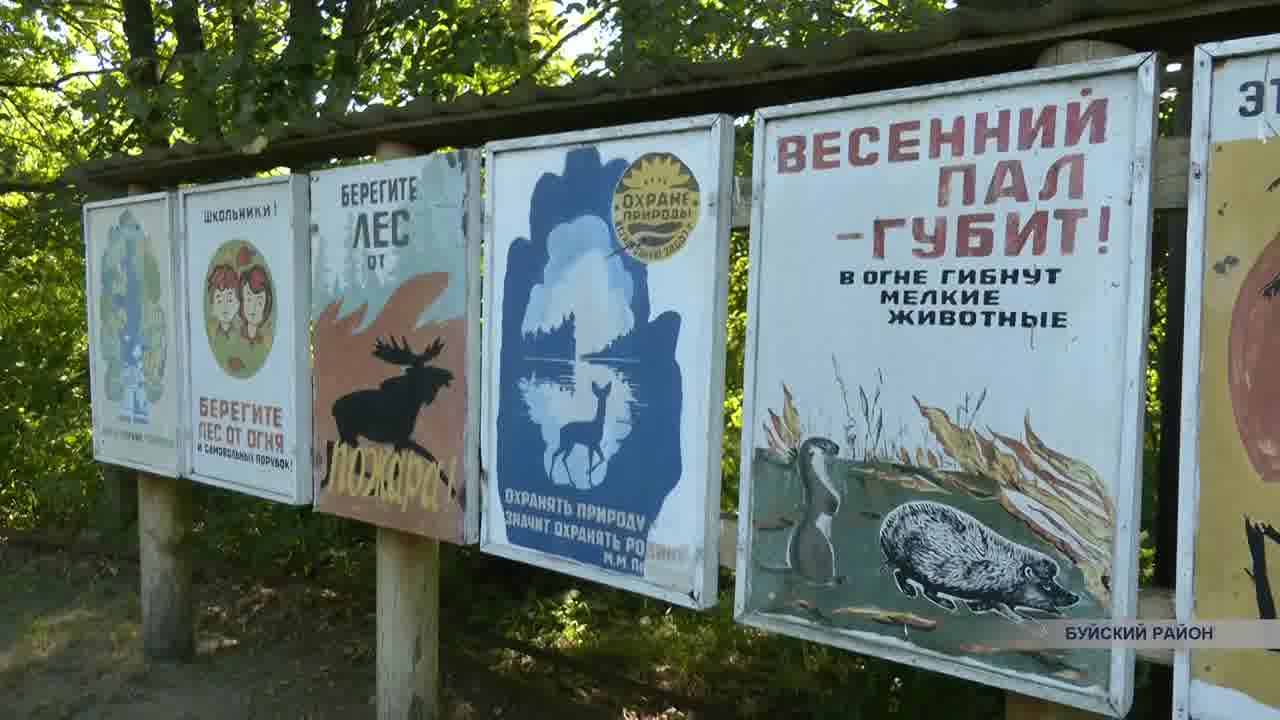 В Костромской области проверяют, как арендаторы лесных участков соблюдают противопожарные меры
