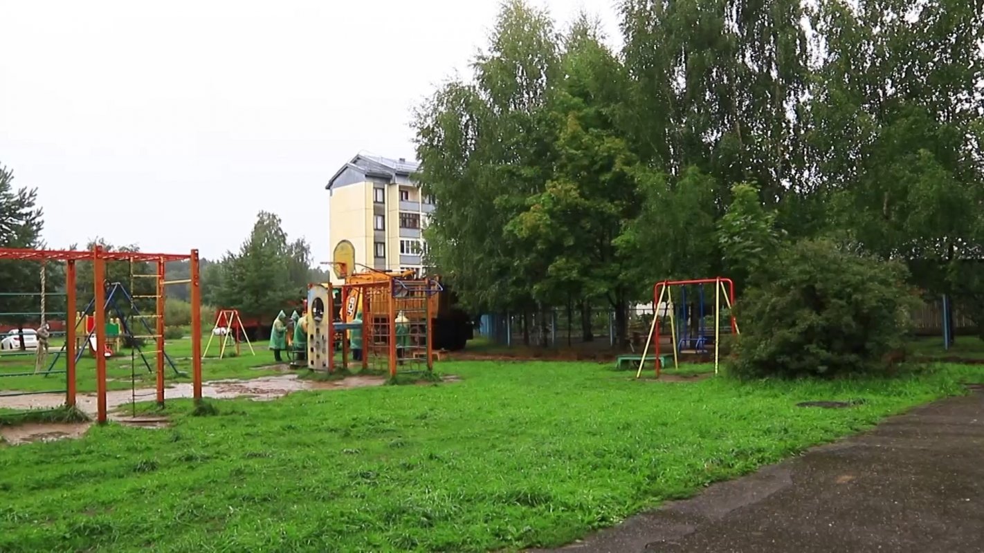 Работы по озеленению дворов в Костроме завершены