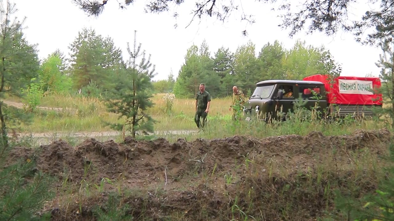 В Костромской области усилили патрулирование лесных массивов