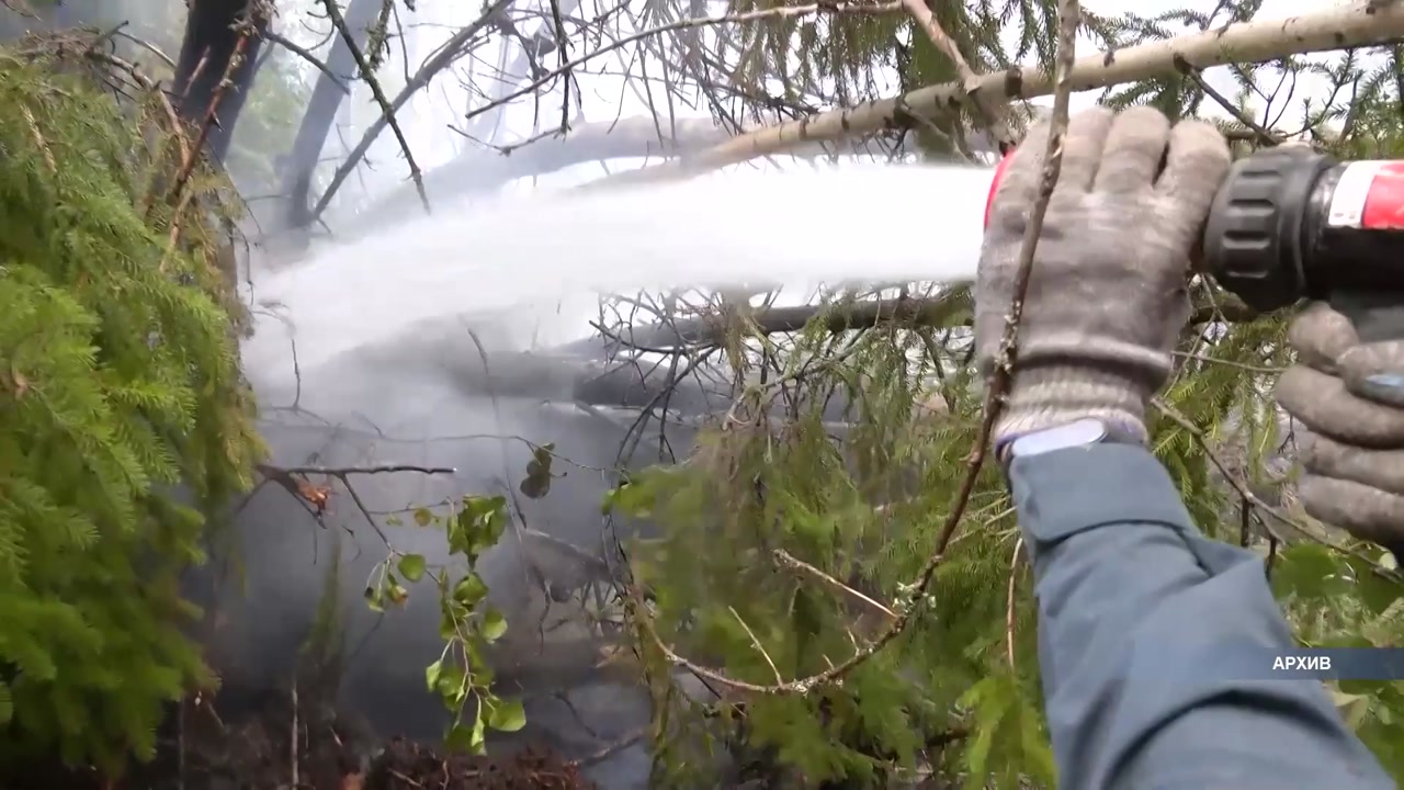 Лесной пожар в Макарьевском районе ликвидирован