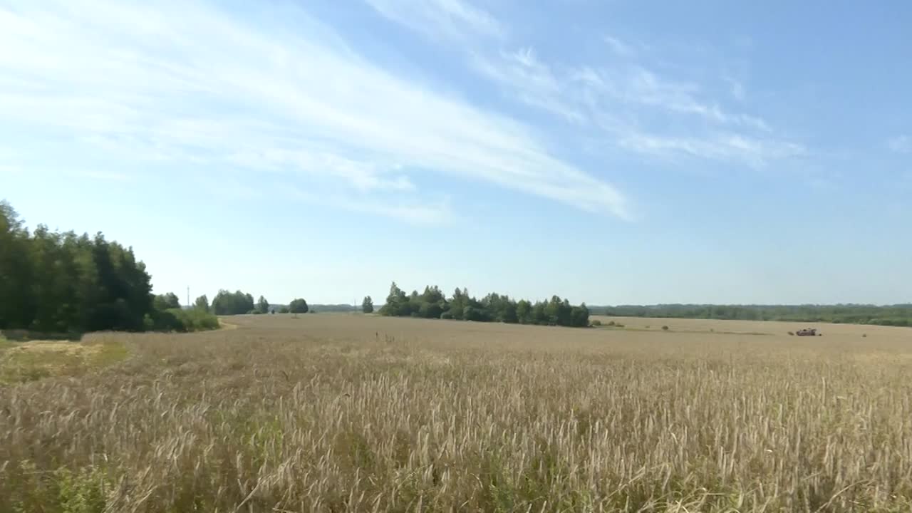 Минсельхоз выделил Костромской области дополнительные средства на производство и реализацию зерна