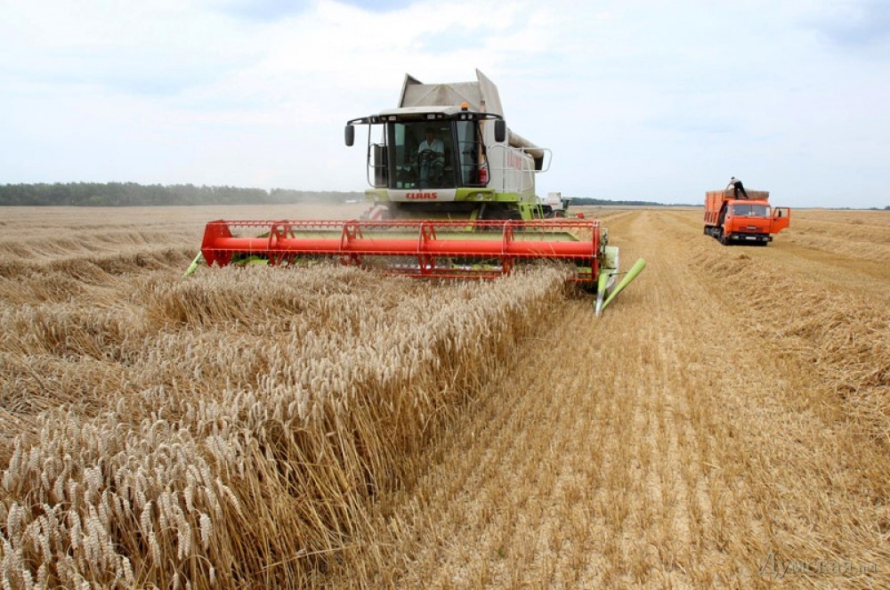 Субсидии на выращивание зерновых