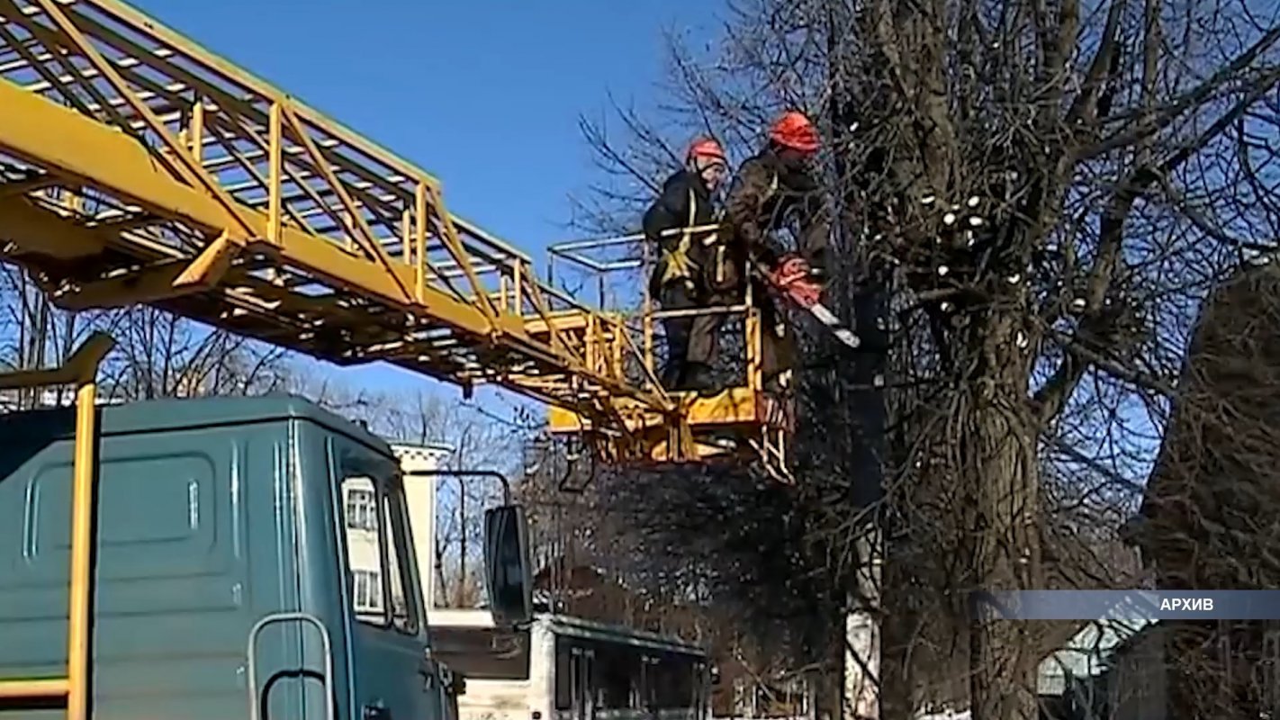 В Костроме усилии работы по обрезке деревьев вдоль дорог