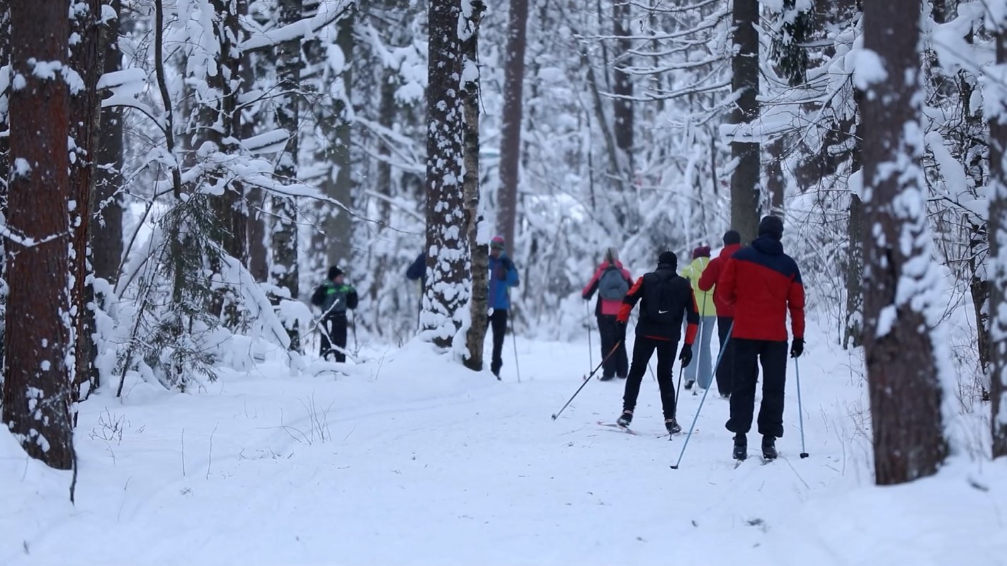 Встретят День защитника Отечества на лыжах