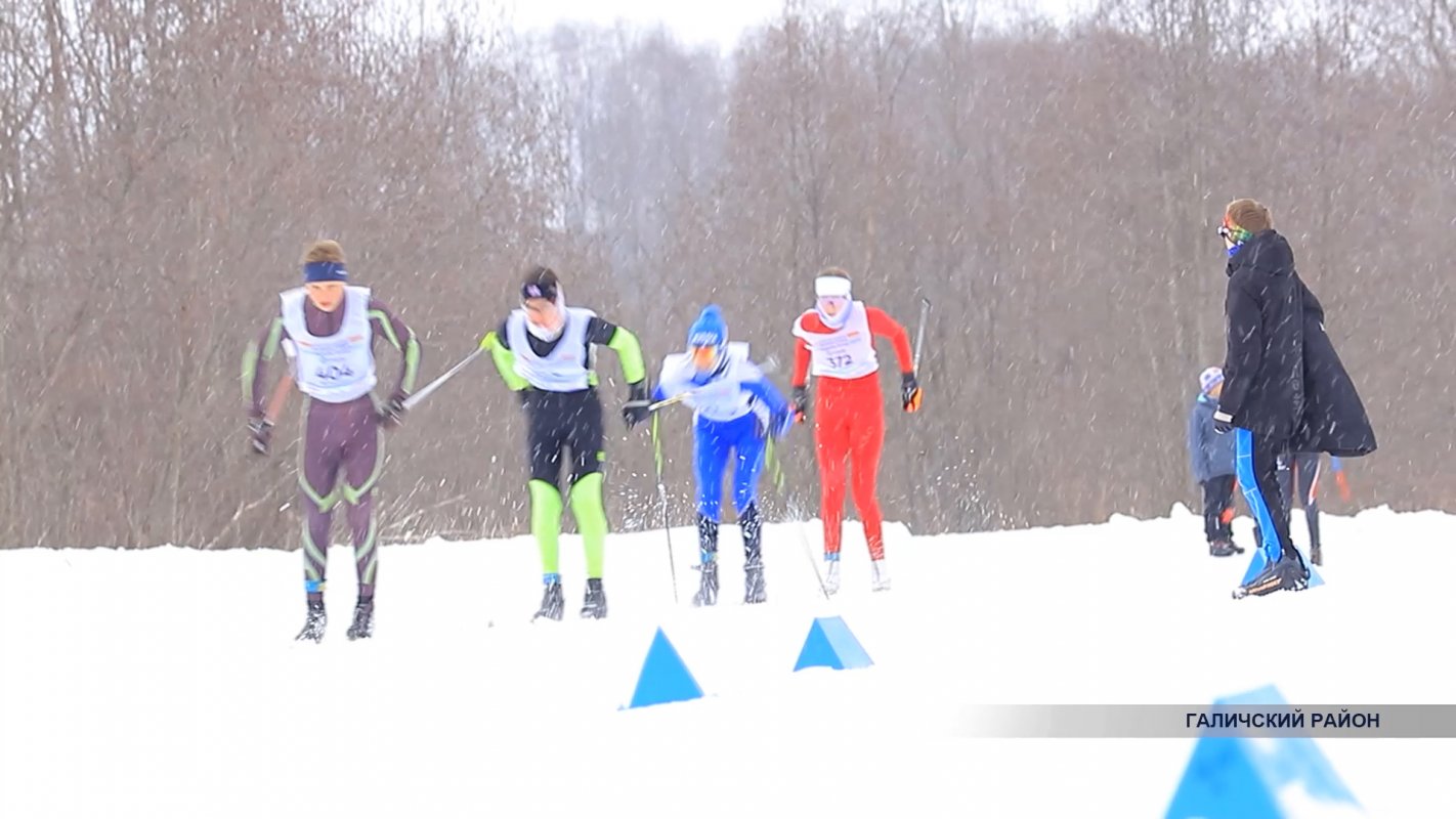 К проведению лыжного марафона «Галичское Заозерье» привлекут волонтеров