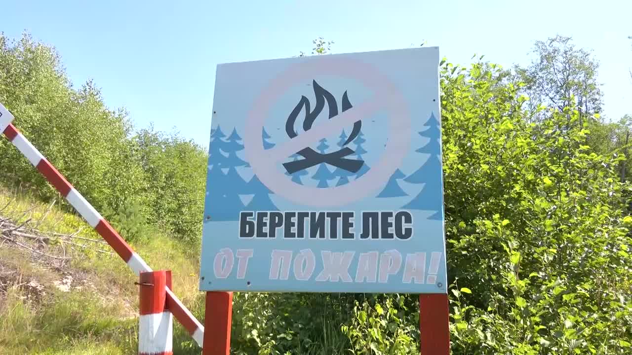 В Костромской области начинают вводить особый противопожарный режим