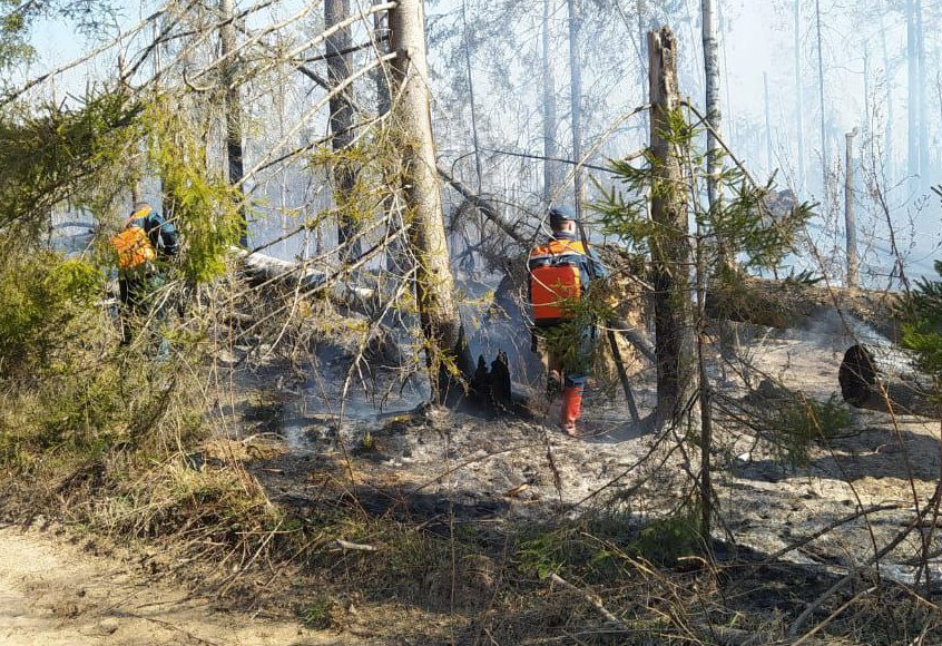 Более 100 человек задействованы в ликвидации лесного пожара в Парфеньевском районе