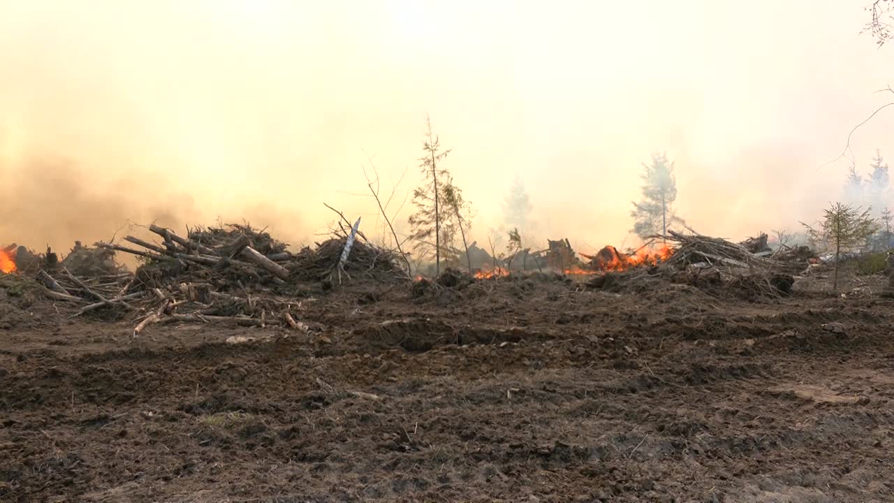 Лесной пожар в Парфеньевском районе Костромской области – локализован
