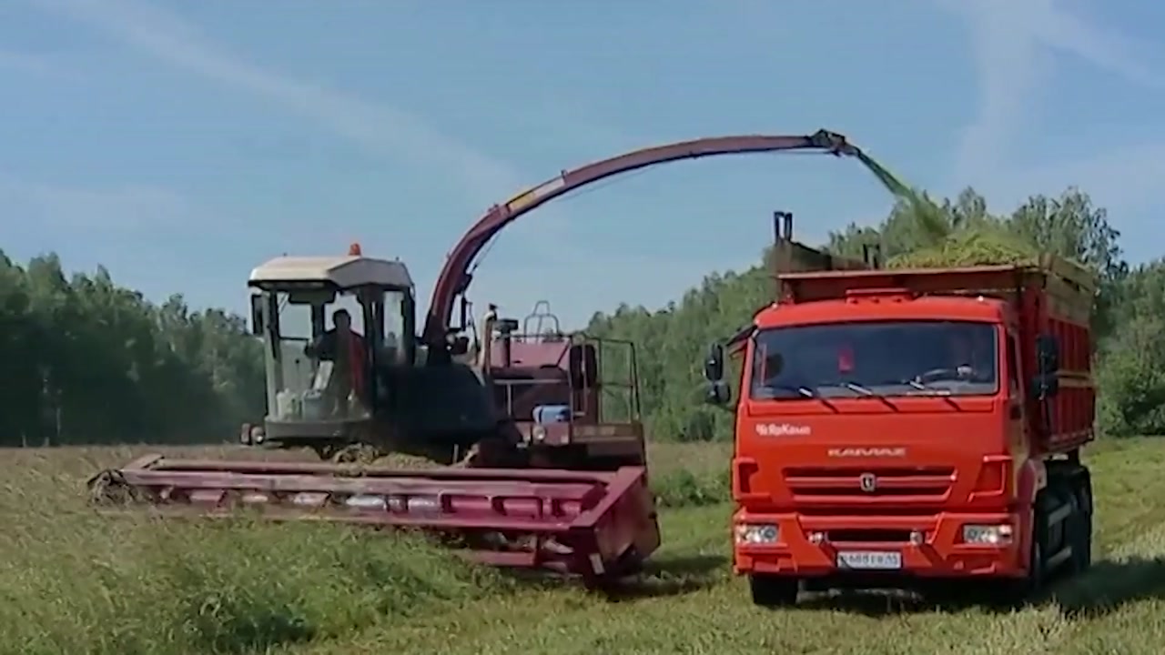 В Костромской области приступили к заготовке кормов