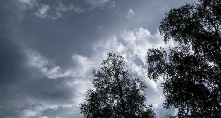 В Костромской области прогнозируются гроза и усиление ветра