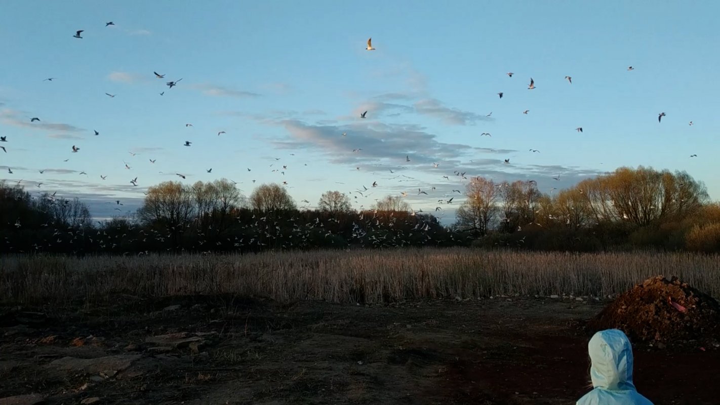 Необходимые меры – приняты!
