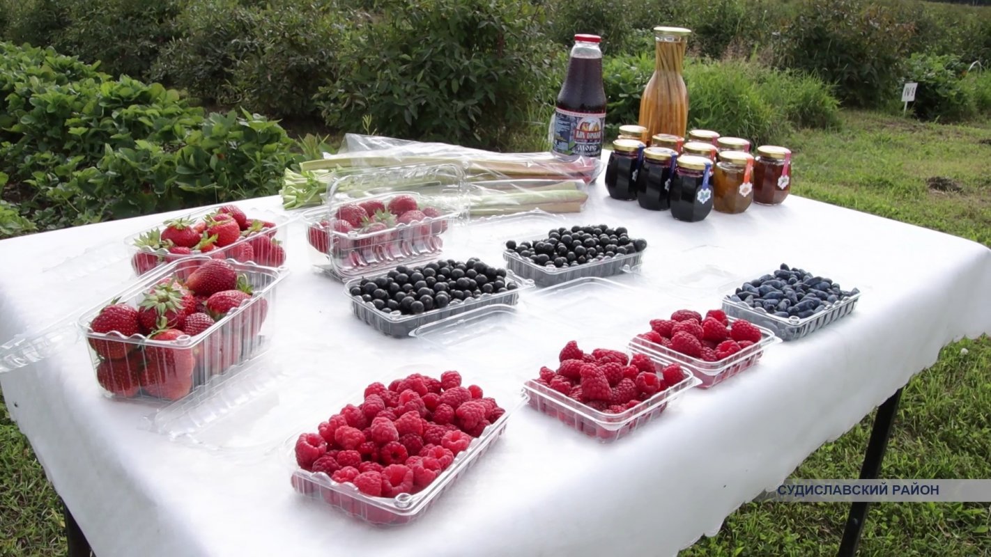 В Костроме могут создать ягодную биржу