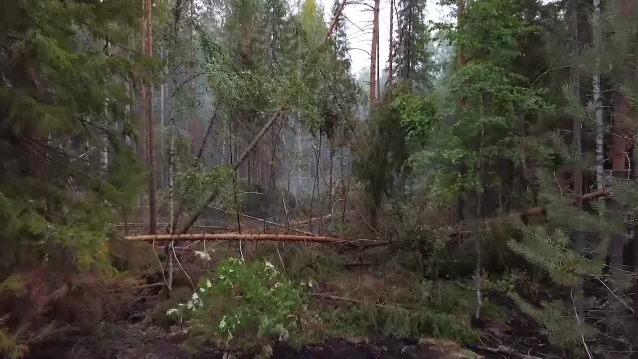 В Парфеньевском районе оперативно локализовали природный пожар