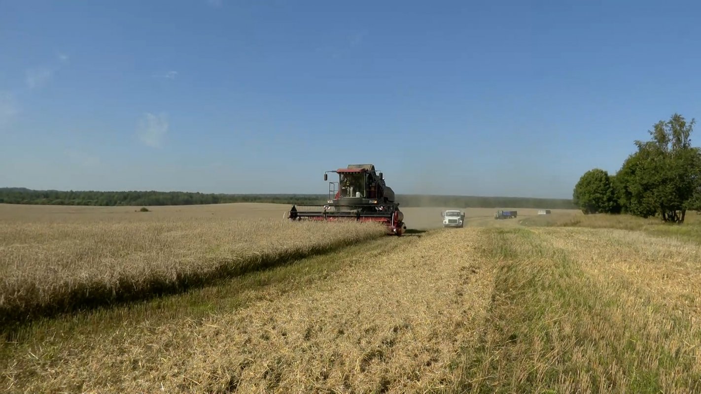 Юго-восточные районы Костромской области в лидерах по урожайности зерновых