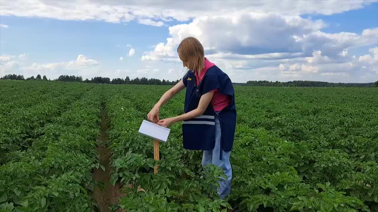 В Костромской области упразднили 10 карантинных зон по картофельной нематоде