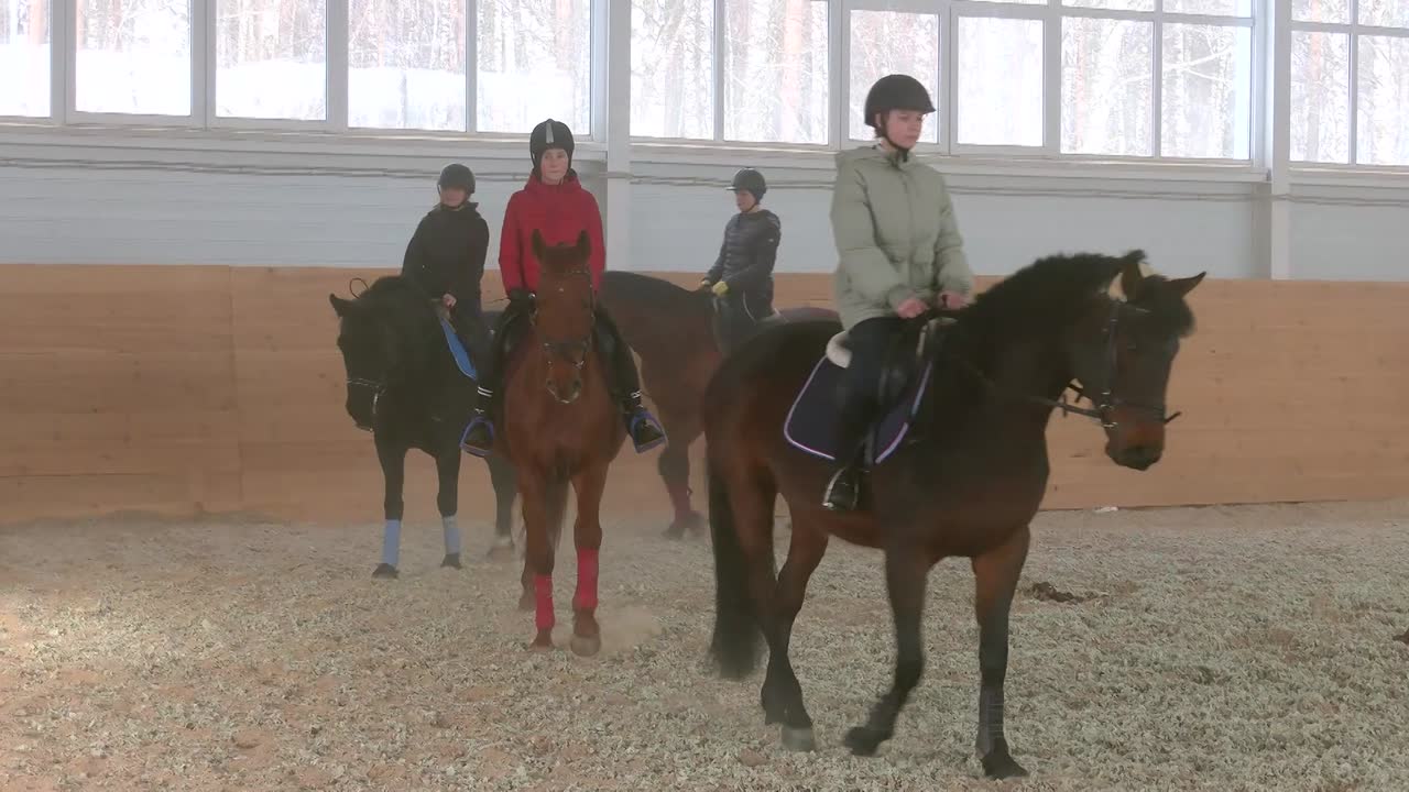 Благодаря Программе «Развития физкультуры и спорта» конным спортом в Костромской области занимаются в комфортных условиях и круглый год