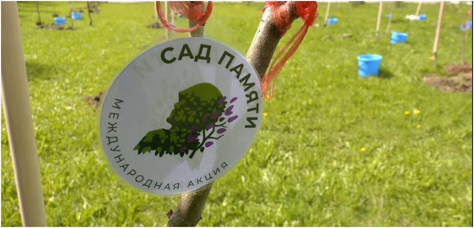 Кострома присоединится к Международной акции «Сад памяти»