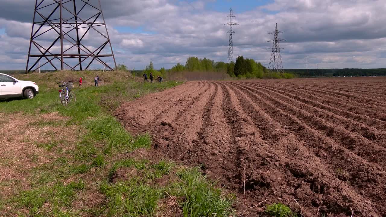Жители Костромской области вновь могут получить бесплатные участки для выращивания овощей