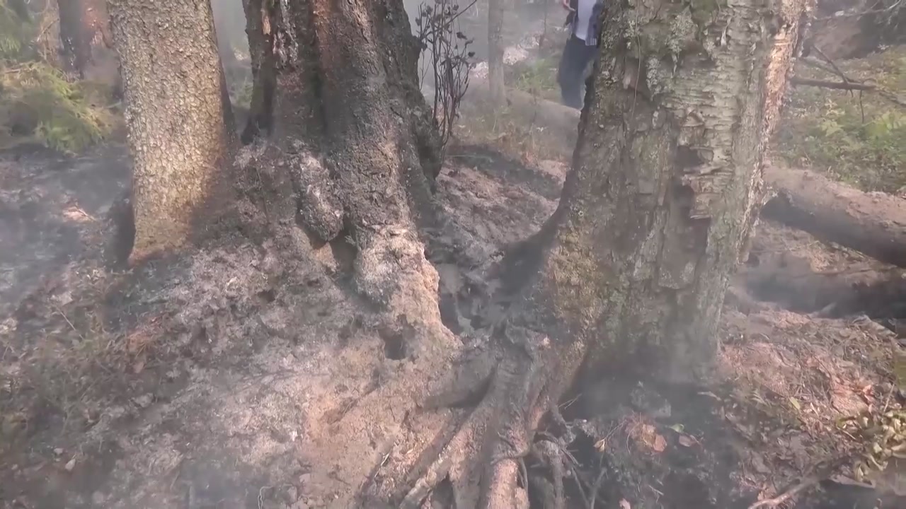Лесной пожар в Нейском районе ликвидирован
