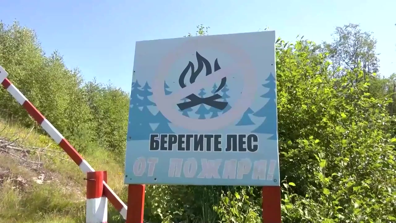 Чтобы предотвратить беду