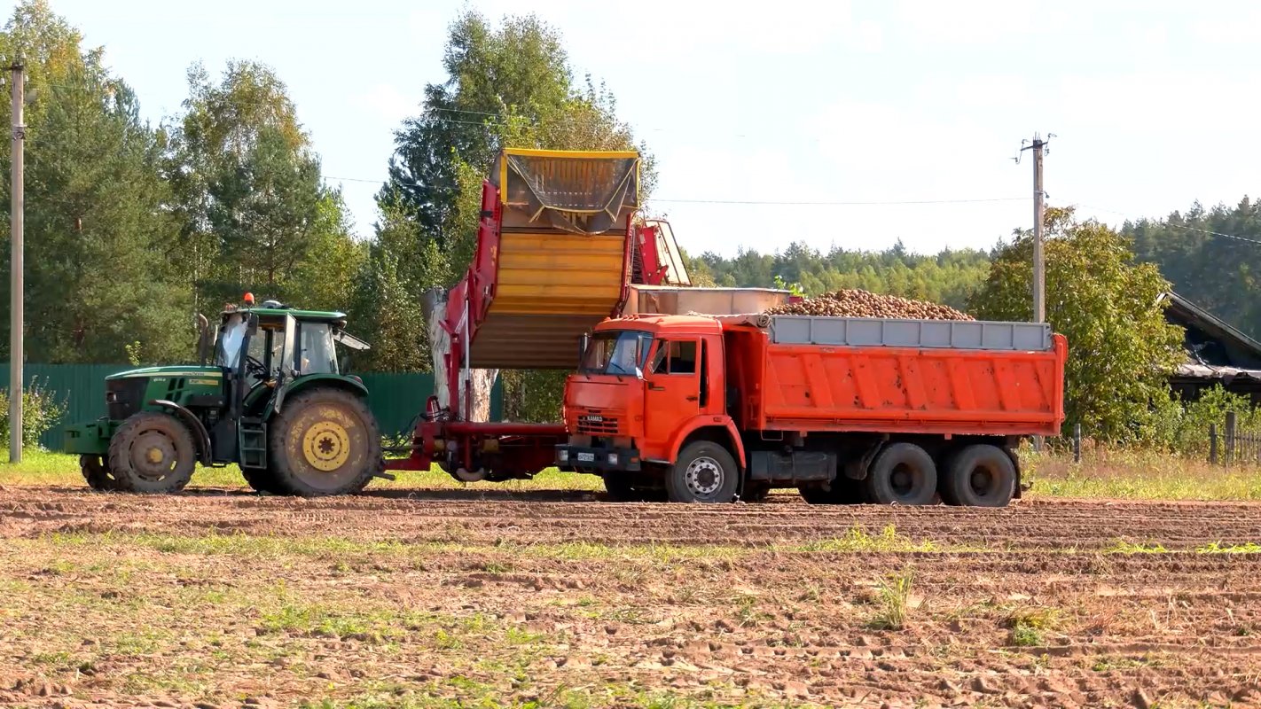 Урожай ссыпают в закрома
