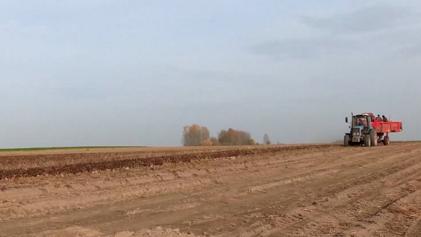 Возможность получить господдержку на развитие своего агробизнеса