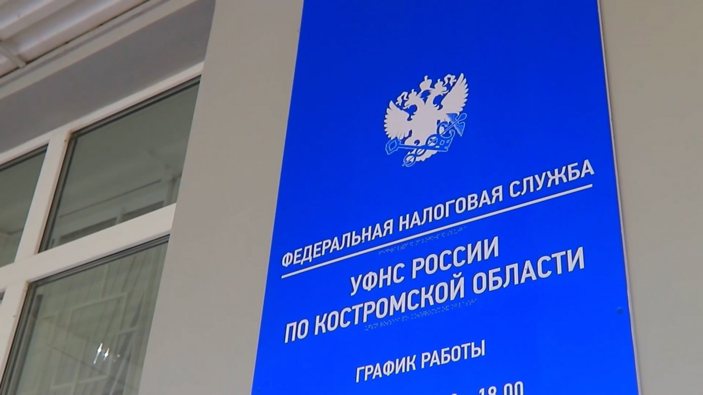 Заплати налоги до 1 декабря