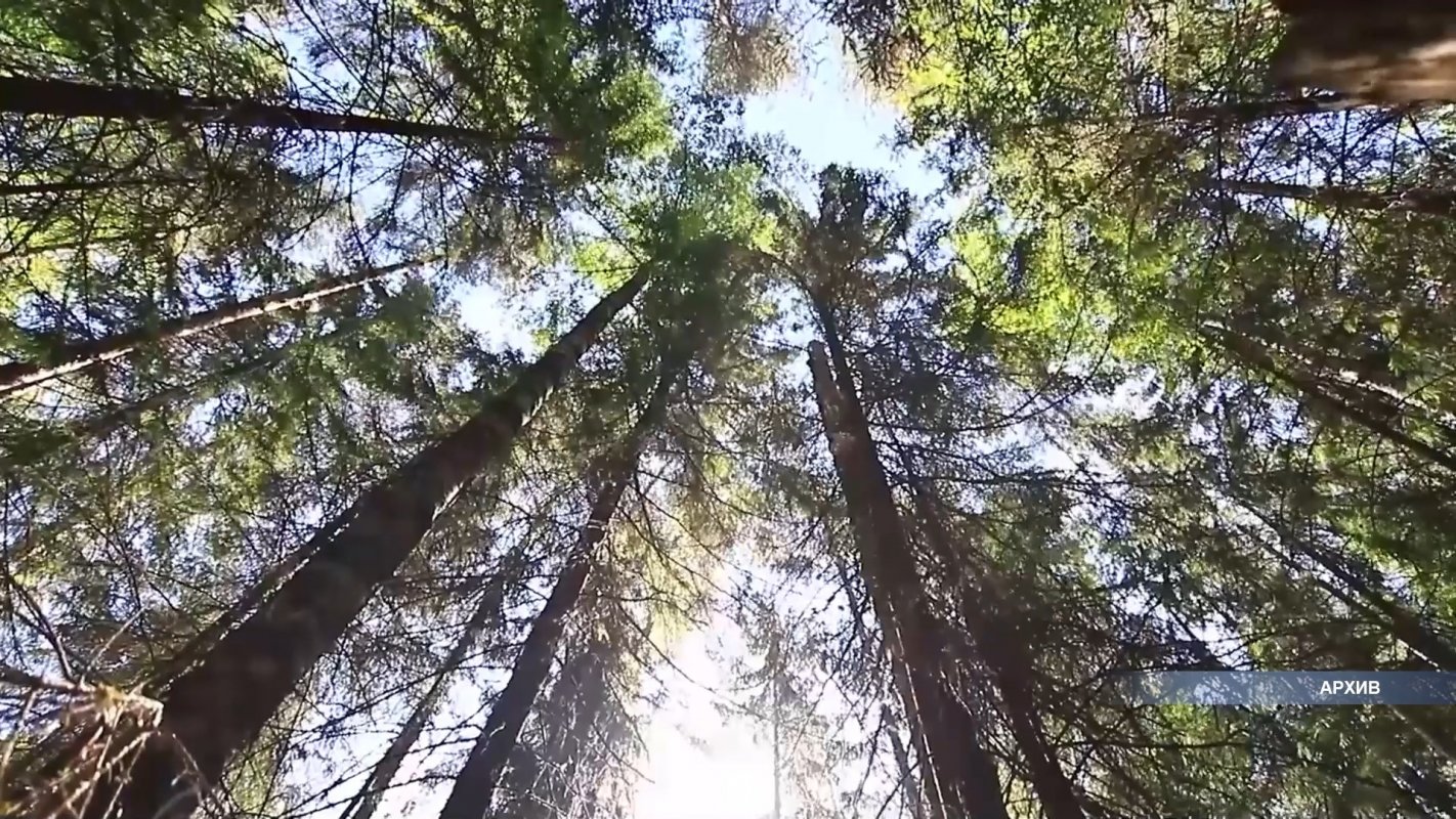 Начинают подготовку к следующему году