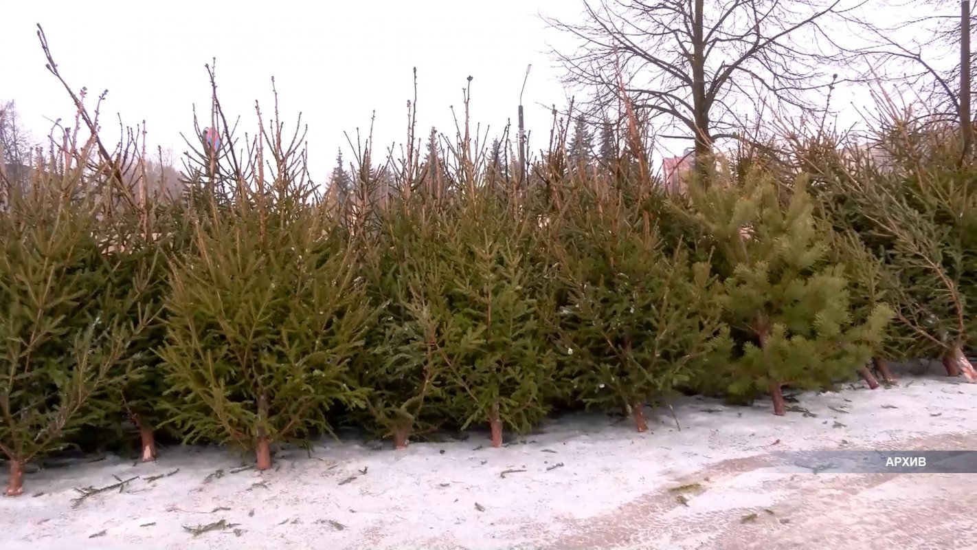 Город погружается в атмосферу волшебства