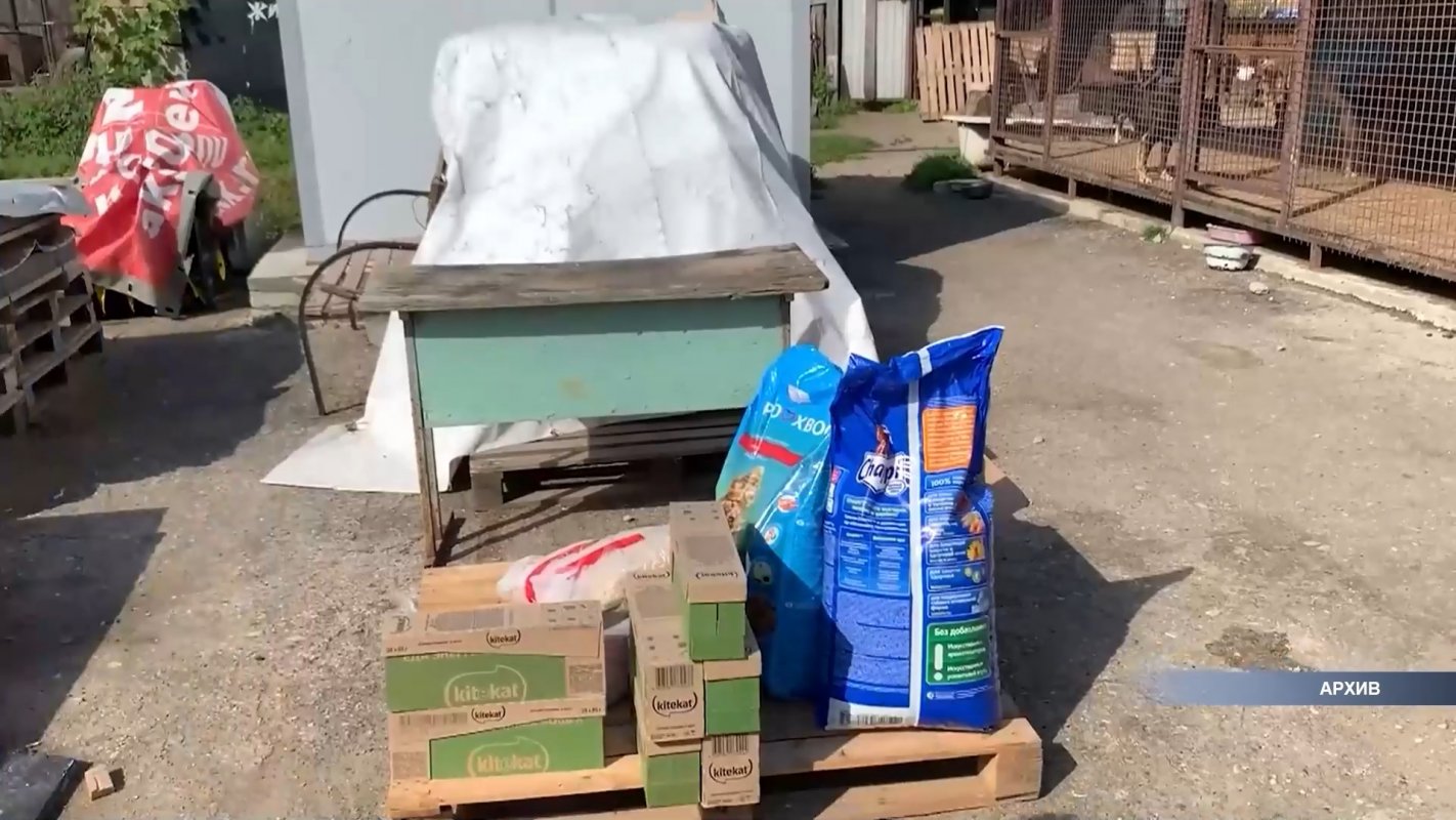 Помочь братьям нашим меньшим