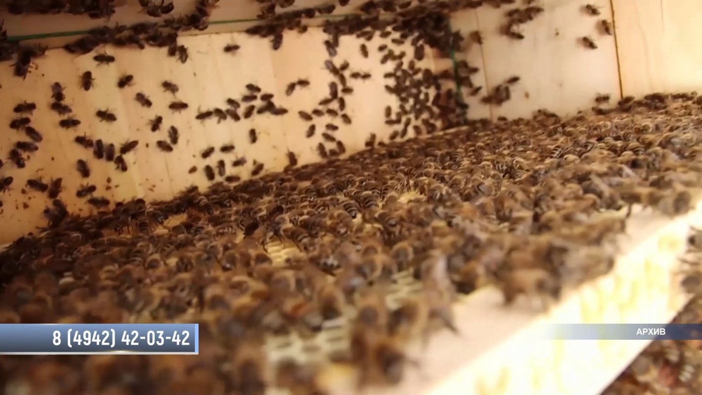 Кострома соберет специалистов из разных регионов страны