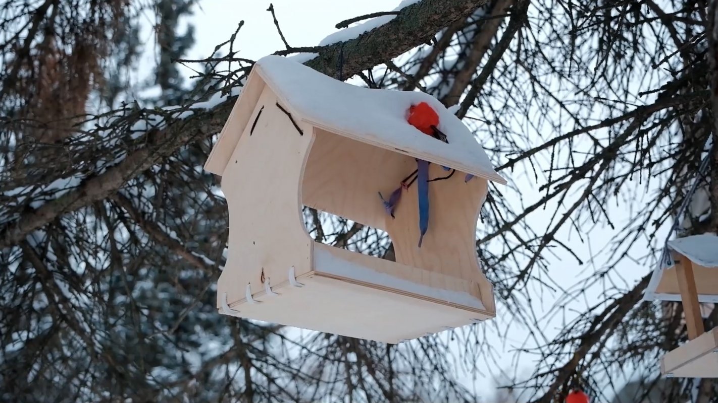 Зимуем вместе