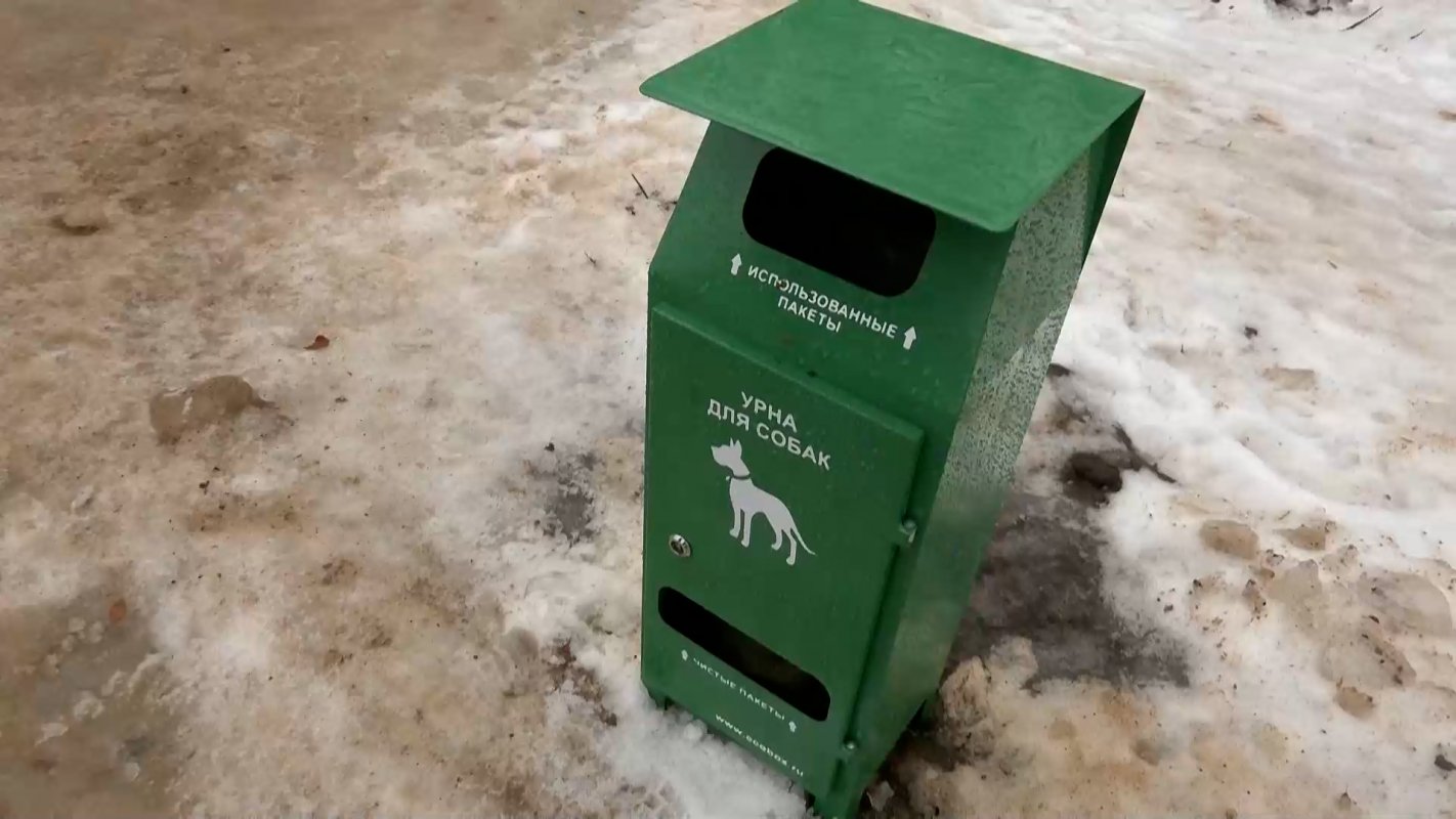 Двенадцать общественных мест Костромы оборудовали дог-боксами