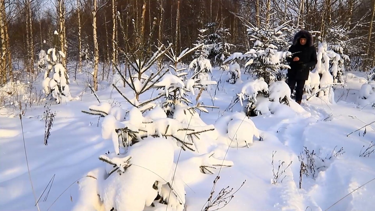 Чтобы сохранить природное богатство Костромской области