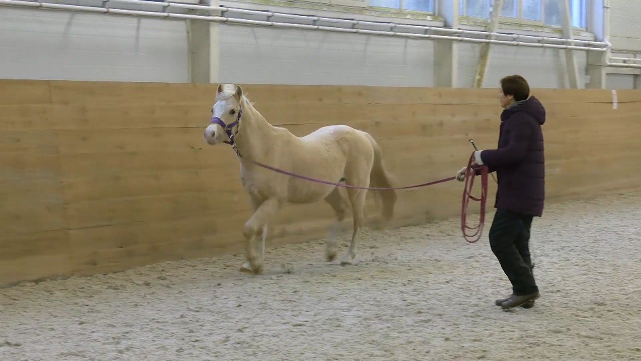 Новые возможности для спортивного роста