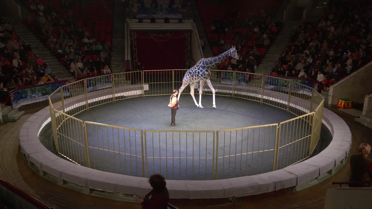 Зарядить энергией &laquo;Новогодний портал&raquo;