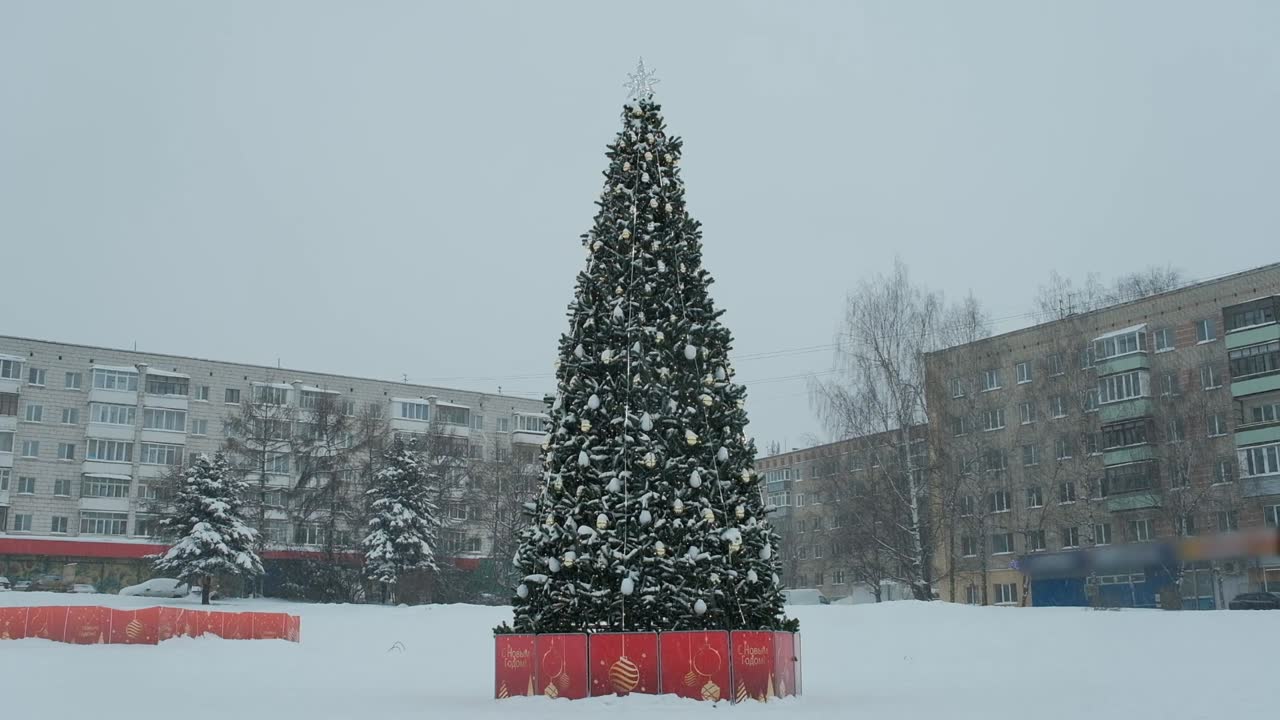 «Ёлки России»